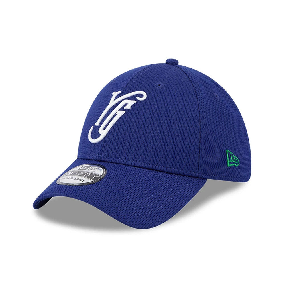 Casquette 39THIRTY Stretch Fit Batting Practice Hartford Yard Goats