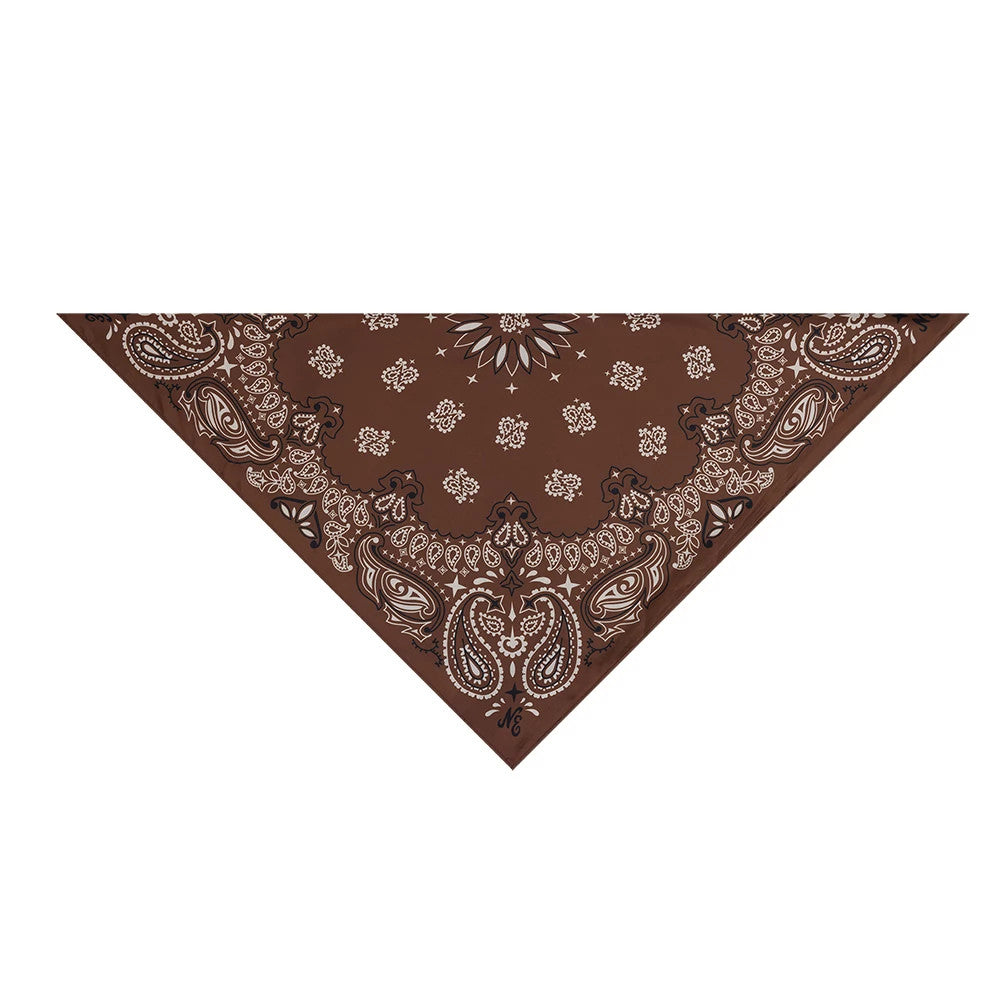 Bandana Paisley New Era Marron